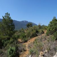 Photo de france - La randonnée du moulin de Ribaute